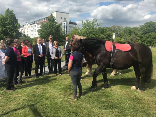 Hippotherapie|Foto: privat